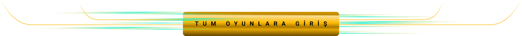 Tüm Oyunlar