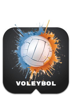 Voleybol